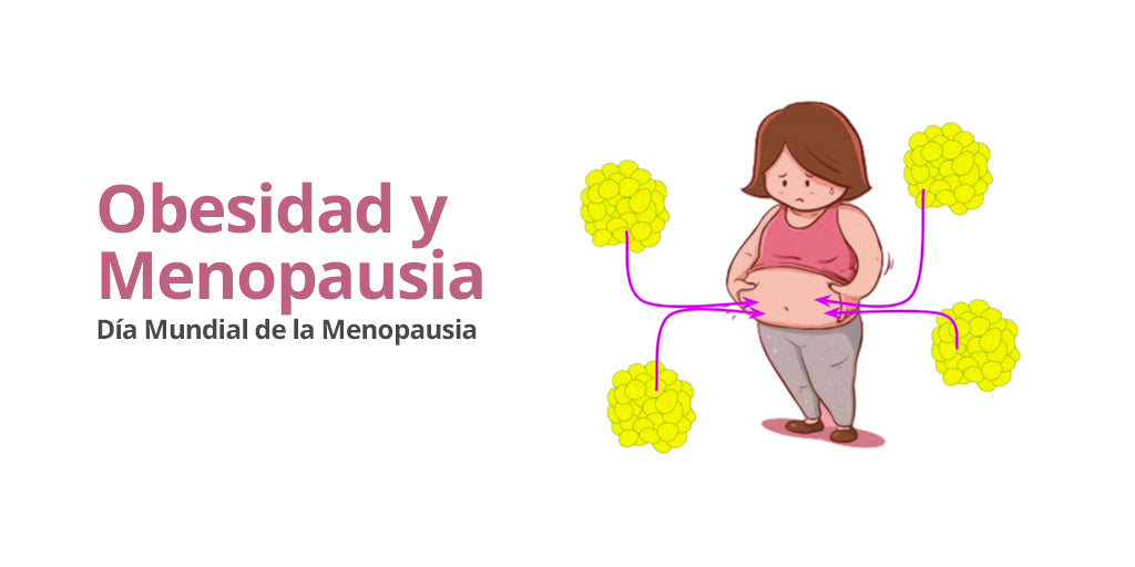 obesidad y menopausia