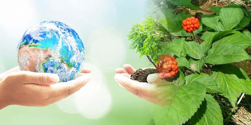 Lo que hace la Madre Tierra por tu sexualidad ¡Dale las gracias y cuídala! - Zenzsual 