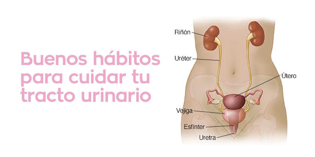 Buenos hábitos para cuidar tu tracto urinario - Zenzsual 