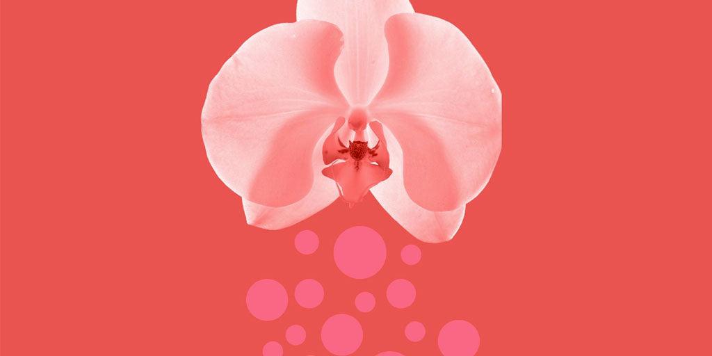 Identifica el olor natural de tu vagina - Zenzsual 