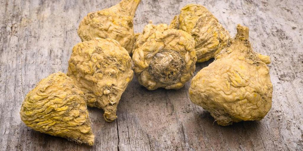 Maca Root: un estimulante del deseo sexual - Zenzsual 