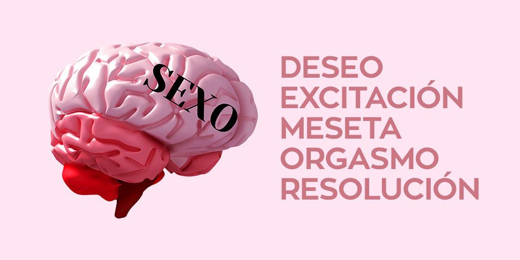 Plataforma orgásmica: los 4 pasos que la llevan al orgasmo - Zenzsual 