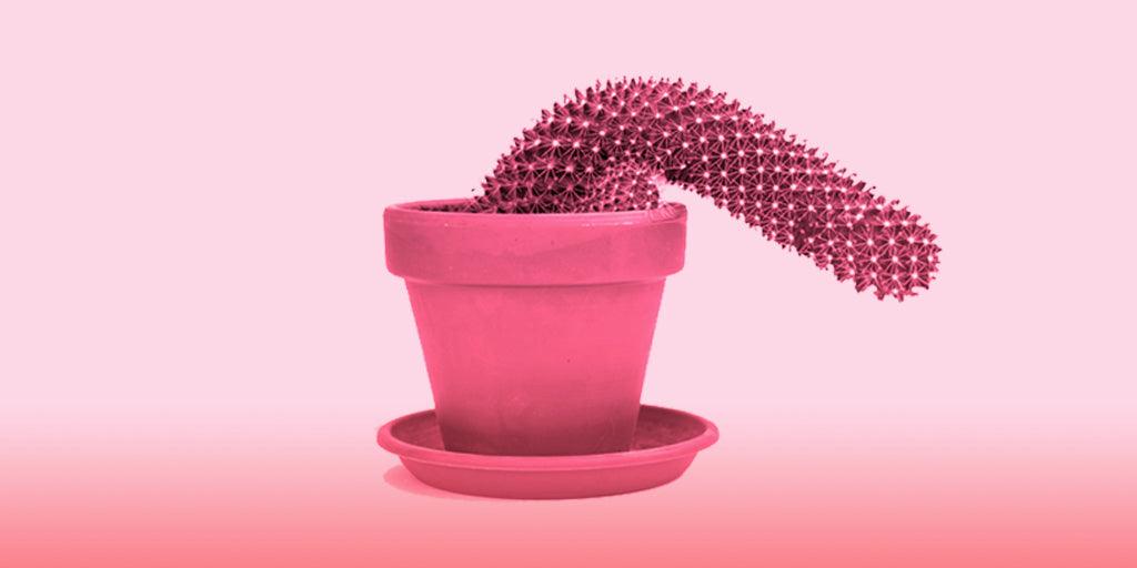 ¡Ya no se levanta! 5 acciones para recuperar la potencia sexual en el hombre - Zenzsual 