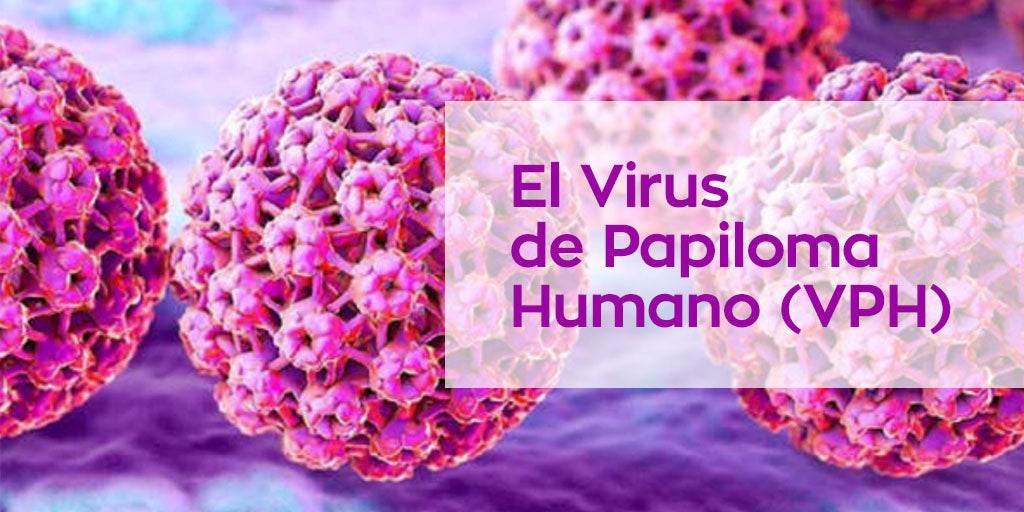 virus de papiloma humano