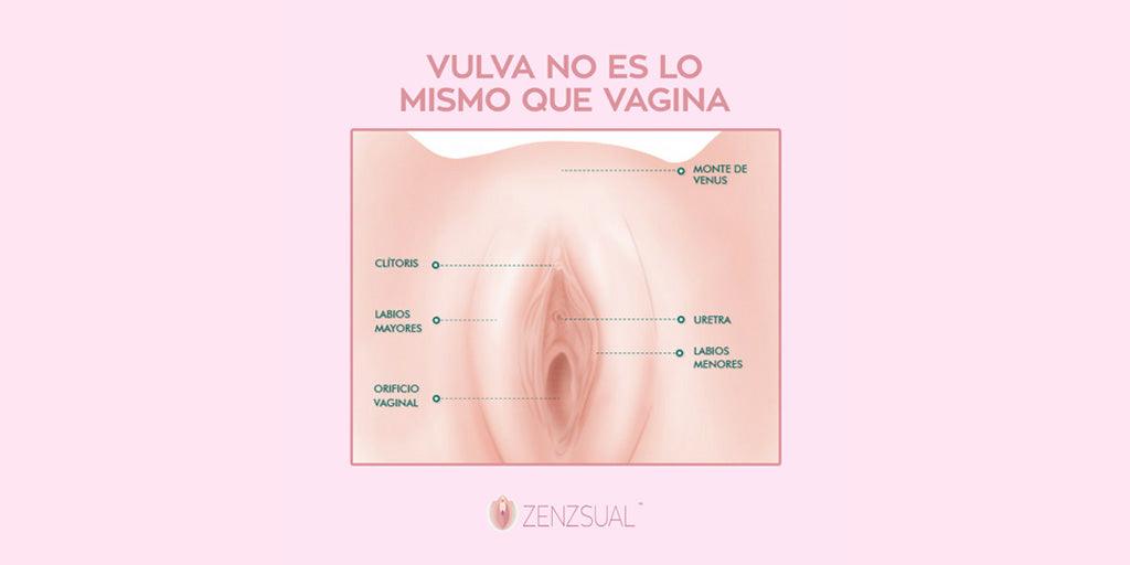 Paso a paso para asear tu vagina sin jabón - Zenzsual 